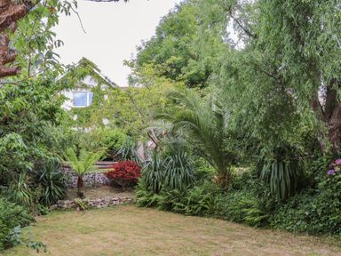 A garden with grass and various trees and plants surrounding a house at Sea View in St Austell