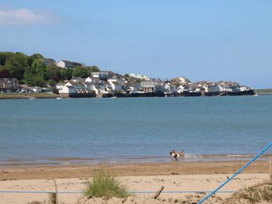A beach with two dogs running near the water and a village across the water at Mulberry Tree in Appledore