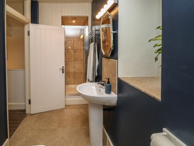 A bathroom with a pedestal sink mirror light fixture towel rack and a shower at Pear Tree Cottage in Appledore