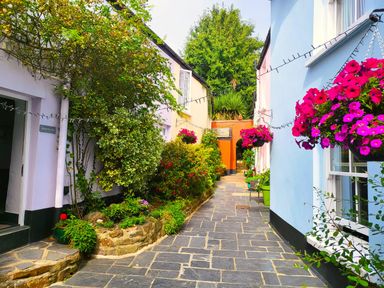 A narrow stone-paved alley with hanging flower baskets and various plants in containers at Pear Tree Cottage in Appledore