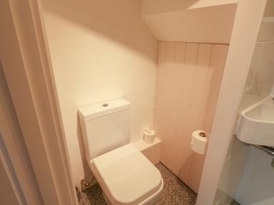 A small bathroom with a toilet and a sink at Lands House in Appledore