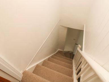 A staircase with carpeted steps and white walls at Lands House in Appledore