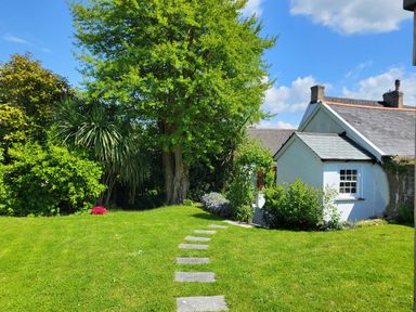 A garden with a stone pathway leading to a white house surrounded by trees and bushes at Lands House in Appledore