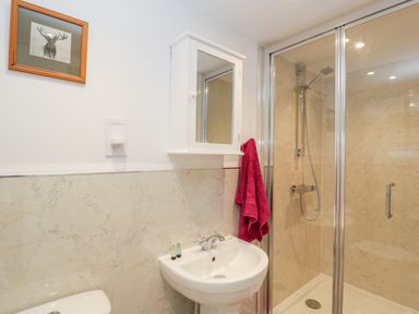 A bathroom with a shower enclosure a white sink a wall-mounted mirror cabinet and a framed picture at The Old Thatch in Porlock