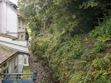 A narrow stream running alongside a white house and dense greenery at The Old Thatch in Porlock