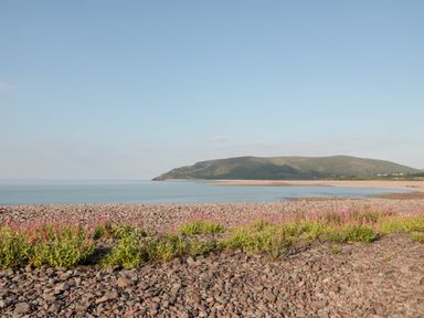 A rocky beach with patches of green and pink plants overlooking the sea and distant hills at The Old Thatch in Porlock