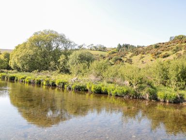 A river with grassy banks and trees on a hillside at The Old Thatch in Porlock