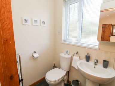 A bathroom with a toilet sink mirror and window at Gloccamaura in Bovey Tracey