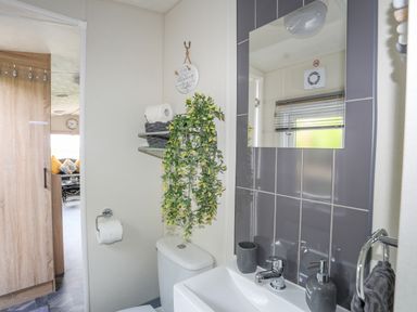 A bathroom with a toilet sink mirror and shelves with a hanging plant at Caban Cwtch The Cosy Cabin in Llanaelhaearn