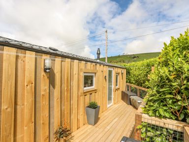 An exterior wooden deck with potted plants small windows and a glass door surrounded by greenery at Caban Cwtch The Cosy Cabin in Llanaelhaearn