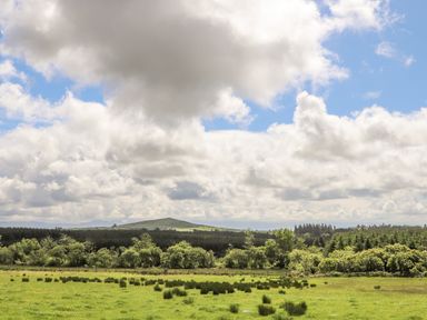 A grassy field with trees and hills under a cloudy sky at Caban Cwtch The Cosy Cabin in Llanaelhaearn