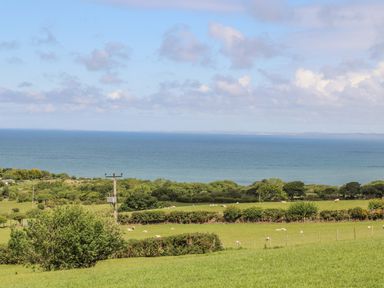 A view of fields with sheep trees and sea in the background at Caban Cwtch The Cosy Cabin in Llanaelhaearn