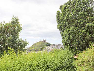 Green bushes and trees in the foreground with a hill and castle ruin in the background at Llys Owen in Criccieth