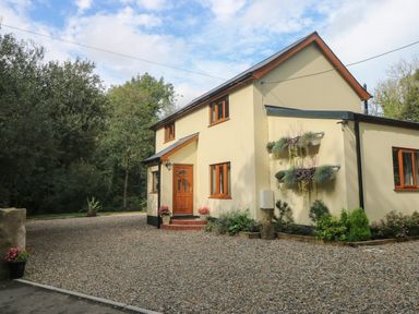 A two-story house with yellow walls and wooden windows surrounded by gravel driveway and plants Rudbaxton Water Rudbaxton near Haverfordwest