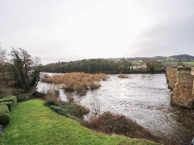 A river with bushes and trees next to a stone bridge and green grass at Willows in Corbridge