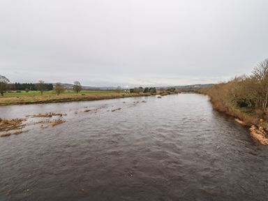 A river flowing between grassy fields and trees under a cloudy sky at Willows in Corbridge