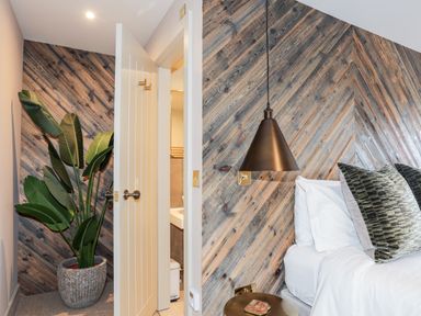 A bedroom corner with a bed white bedding green pillows a hanging lamp and a plant in a pot near an open door revealing part of a bathroom with a wooden accent wall at The Hayloft in Llanfechell