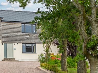 A house with wood and plaster exterior with a green door and garden with trees in front at The Hayloft in Llanfechell