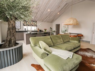 A living area with a green sofa a large potted tree and kitchen area in the background at Garden House in Llanfechell
