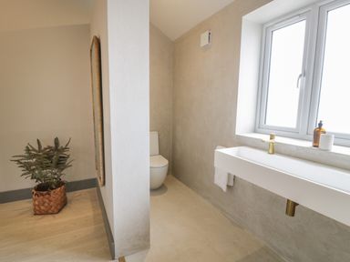A bathroom with a toilet sink and window a plant in a basket and a mirror at Garden House in Llanfechell