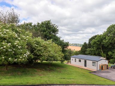 A modern single-story home with a driveway surrounded by grass and trees at Ambleside in Cullompton