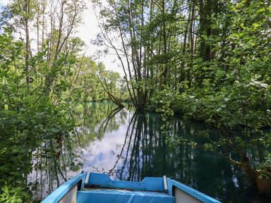 A blue boat on a calm river surrounded by green trees and reflected in the water at Ambleside in Cullompton