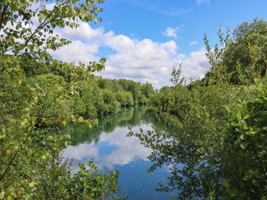 A river surrounded by trees and bushes under a cloudy sky