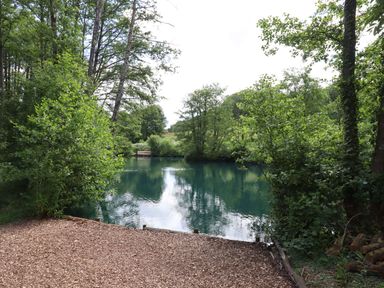 A small body of water surrounded by trees and greenery with a patch of ground covered in wood chips in Ambleside in Cullompton