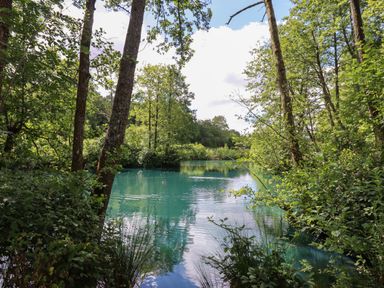 A lake surrounded by trees and bushes with a duck swimming on the water at Ambleside in Cullompton