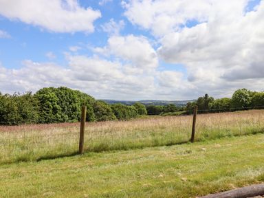 A fenced grassy field with trees and hills under a cloudy sky at Ambleside in Cullompton
