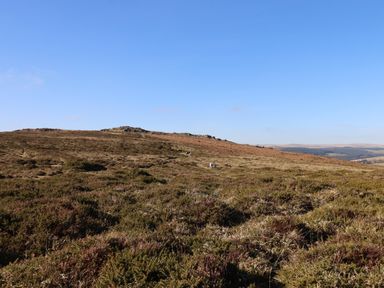 A moorland landscape with low vegetation under a clear blue sky