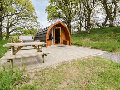 A small wooden pod shelter on a paved area with a picnic table and chairs surrounded by grass and trees at Conwy Pod in Capel Garmon near Betws-Y-Coed