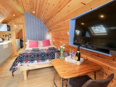 A wooden interior room with a bed table chairs and a large TV at Conwy Pod in Capel Garmon near Betws-Y-Coed