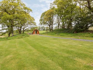 A grassy lawn with a wooden pod and picnic table surrounded by trees at Conwy Pod in Capel Garmon near Betws-Y-Coed