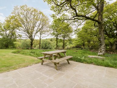 A wooden picnic table on a tiled patio surrounded by grass and trees at Conwy Pod in Capel Garmon near Betws-Y-Coed