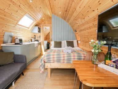 A pod interior with a bed kitchen area sofa dining table and television at Llugwy Pod in Capel Garmon near Betws-Y-Coed