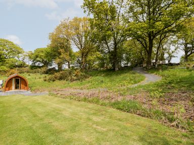 A small wooden pod near a grassy lawn with trees and a gravel path at Llugwy Pod in Capel Garmon near Betws-Y-Coed