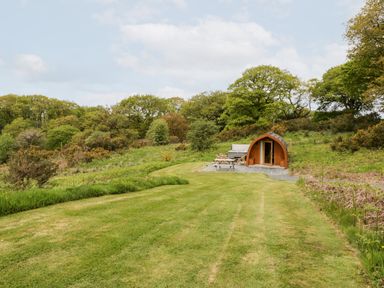A wooden pod with a picnic table and hot tub on a grassy lawn surrounded by trees at Llugwy Pod in Capel Garmon near Betws-Y-Coed