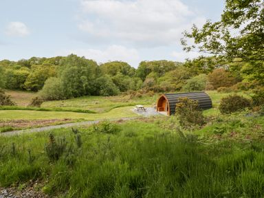 A small wooden pod with a picnic bench on a grassy area surrounded by trees at Llugwy Pod in Capel Garmon near Betws-Y-Coed