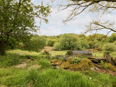 A grassy outdoor area with trees and moss-covered rocks at Llugwy Pod in Capel Garmon near Betws-Y-Coed