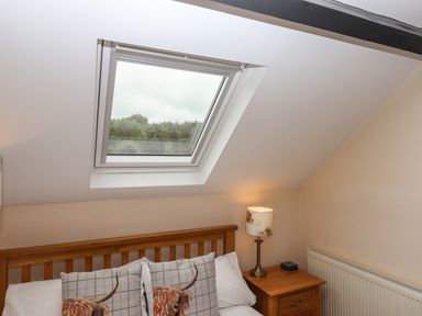 A bedroom with skylight window wooden bed frame bedside table and lamp at Northwood Barn in Okehampton