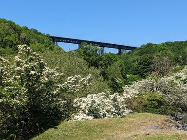 A green landscape with white flowering bushes and a tall railway bridge in the background at Northwood Barn in Okehampton