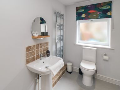 A bathroom with a sink and mirror and a toilet under a window with a fish patterned blind at The Annexe in Bridlington