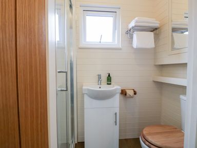 A bathroom with a sink cabinet a toilet with a wooden seat and a shower at Willow in Kemble
