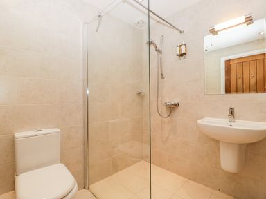 A bathroom with a toilet a glass shower enclosure a wall-mounted shower head a sink and a mirror at Owl Barn Marston Stannett near Leominster