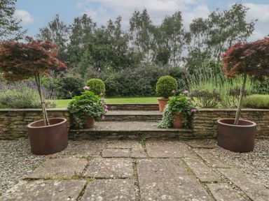 A stone patio with potted plants and steps leading to a grassy garden at Owl Barn in Marston Stannett near Leominster