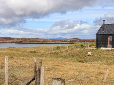A grassy field with a fenced area near a body of water and hills in the background with a small black building on the right and a sheep grazing near it at North Light Studio in Locheport near Lochmaddy North Uist