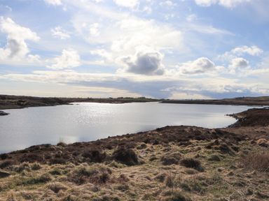 A body of water surrounded by grassy and bushy land under a cloudy sky at North Light Studio in Locheport near Lochmaddy North Uist