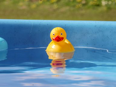 A yellow rubber duck floating in a blue plastic pool outdoors at Mischief in Little Kelk near Bridlington