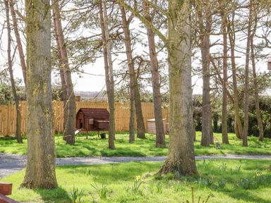 A grassy garden area with trees and a wooden fence with wooden sheds at Mischief in Little Kelk near Bridlington